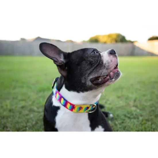 Country Brook Petz Deluxe Rainbow Hearts Dog Collar - Made In The U.S.A. image {2}