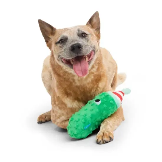 BARK Howly Jowly Holidays Jolly Old St. Pick Food Shaped Plush Dog Toy image {2}