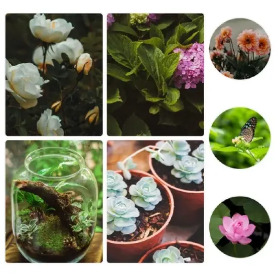 Swtroom Outdoor Plastic Dual Chamber 360 ⁰ Tumbling Composter Bin for Garden Kitchen Yard 35 Gallon image {5}