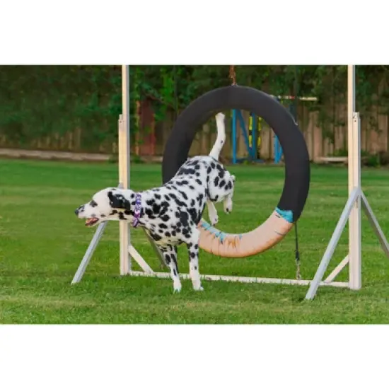 Country Brook Design - Purple Hawaiian Martingale Dog Collar image {1}