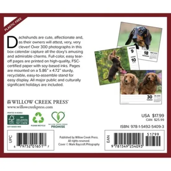 Willow Creek Press 2026 Dachshunds Box Calendar image {1}