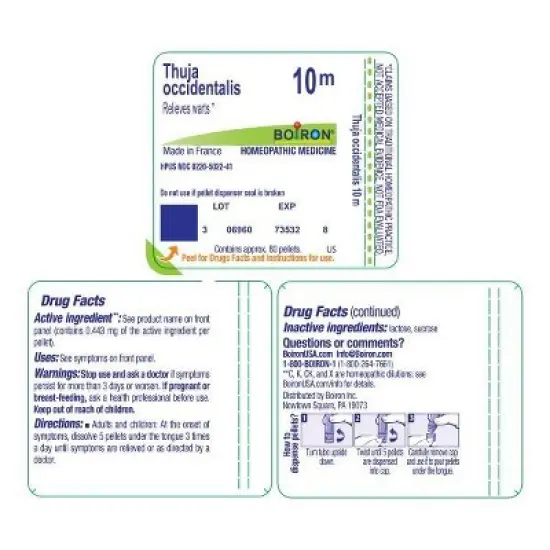 Thuja Occidentalis 10M by Boiron Homeopathic Single Medicine For First Aid  -  80 Pellet image {1}