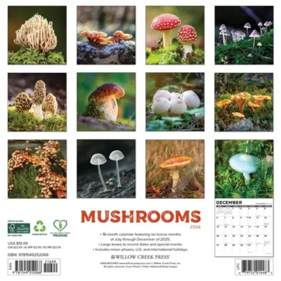 Willow Creek Press 2026 Mushrooms Wall Calendar image {1}