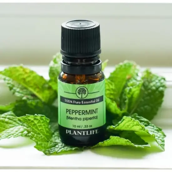 Peppermint Essential Oil image {3}