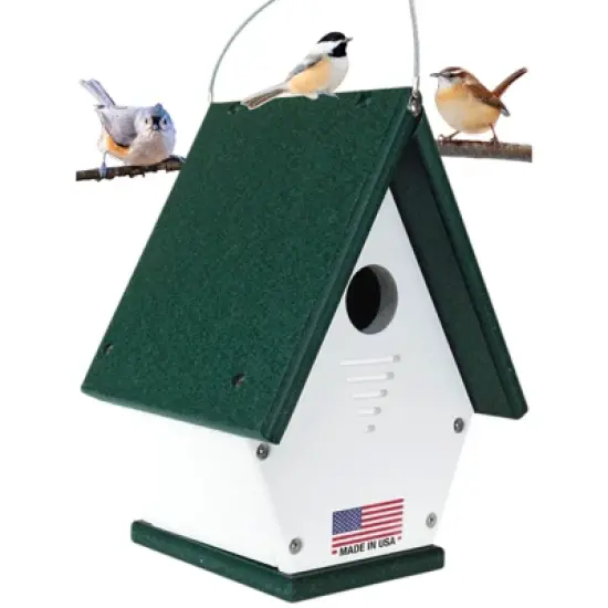 JCS Wildlife Wren, Chickadee, and Warbler Chateau Birdhouse image {13}