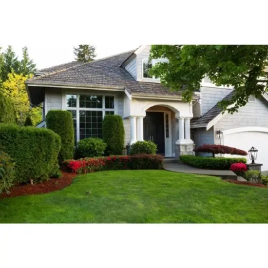 Z-Lite Talbot 3 - Light Lantern in  Black image {1}