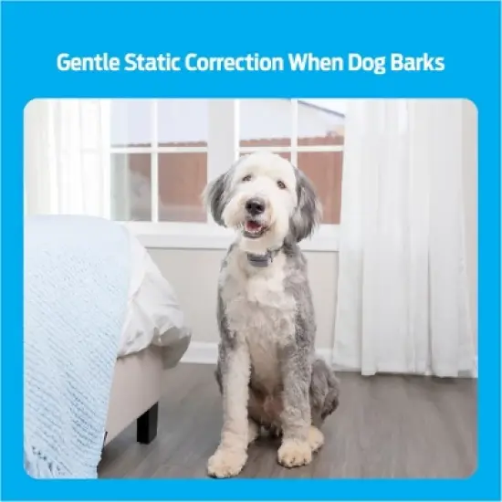 Premier Pet Bark Adjustable Collar - Black image {2}