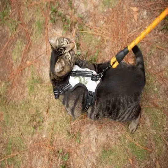 Doggy Tales Realtree 2X Sport Harness Snow image {3}