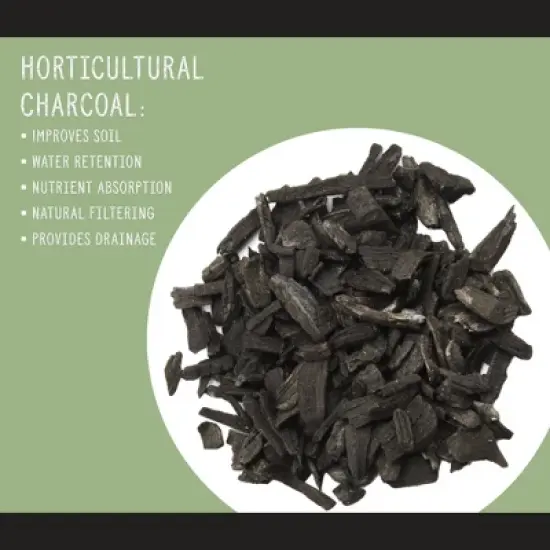 Soil Sunrise Horticultural Charcoal for Indoor Plants, Hardwood Soil Additive for Orchids, Terrariums, and Gardening image {4}