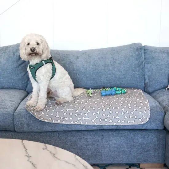 rocket & rex Bone Print Washable Reusable Pee Pads for Dogs - L - Gray - 2ct image {9}