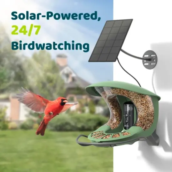Birdfy Smart Bird Feeder with Camera, 2K Portrait & 1080P Wide-Angle, AI Identifies 6000+ Birds, Weatherproof image {7}