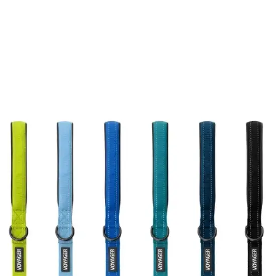 Voyager Reflective Dog & Cat Nylon Leash for All Breeds image {3}