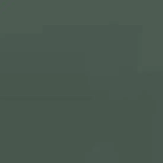 ThinOptics Menlo Park Polarized Sunglasses with Case image {2}