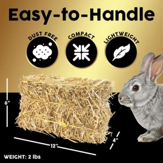 Firewood Central Mini Straw Bale by Morning View Acres &ndash; Natural Wheat Straw for Gardening, Pet Bedding, Seeding & Decor (12"x4"x6", 2lb) image {2}