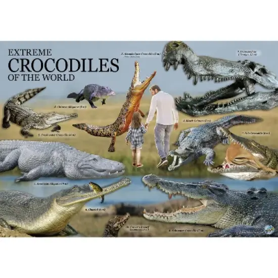 WILD! Environmental Science Extreme Crocodiles of the World image {4}