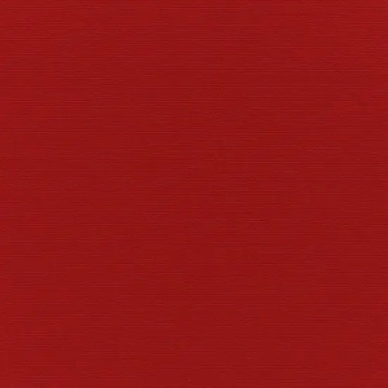 Sunbrella 2pk 20" Canvas Jockey Outdoor Throw Pillows Red image {2}