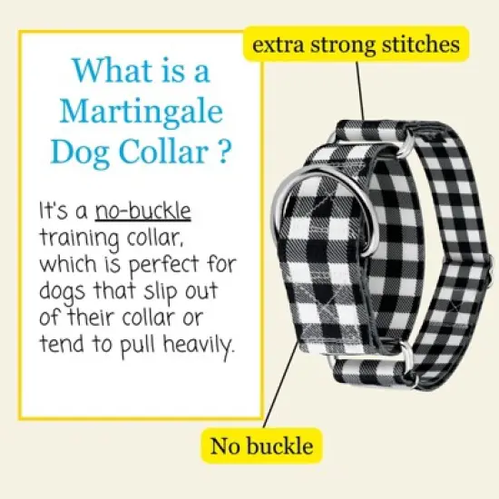 Country Brook Petz HossFit Wide Martingale Dog Collar Collection image {2}