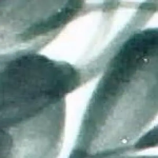 Blue Rose Polish Pottery WR Unikat Dinner Plate image {2}