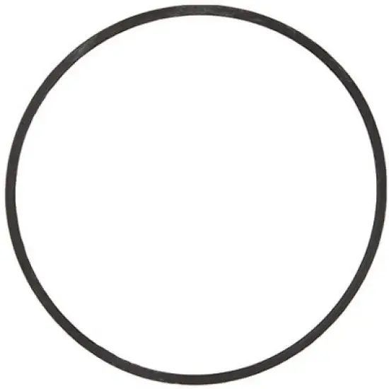 Briggs and Stratton 693981 Float Bowl Gasket Replacement for Model 280492 image {1}