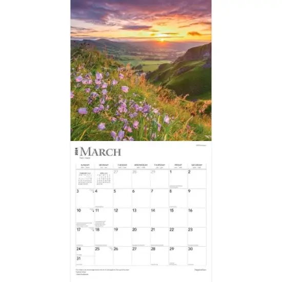 Browntrout 2024 Wall Calendar 12"x12" Inspiration image {2}