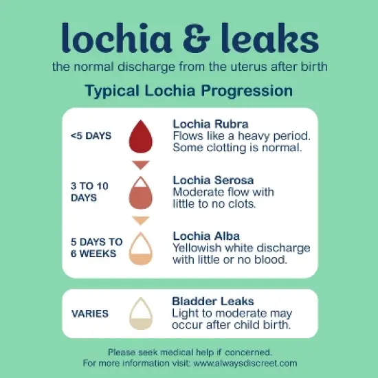 Always Discreet Postpartum Underwear Maxi Pad - Large - 14ct image {5}