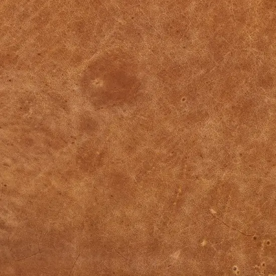 Poly & Bark Gio Italian Leather Ottoman Cognac Tan: Upholstered Padded Seat, Wood Frame, Oval Shape, 17" Height image {10}