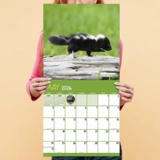 TF Publishing 13.5"x14.5" 2026 Baby Animals Wall Calendar image {3}