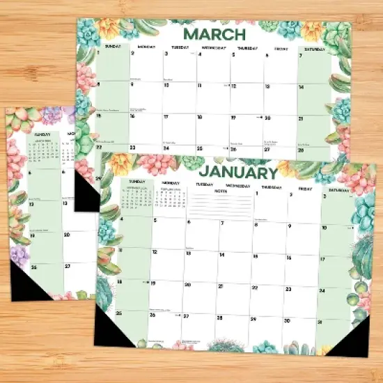 Willow Creek Press 17"x12" 2026 Succulents Small Monthly Deskpad image {1}