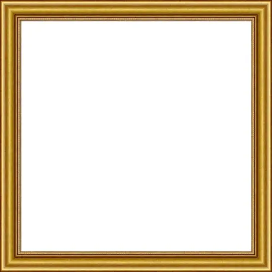 Amanti Art Townhouse Gold Framed Dry Erase Magnetic Board image {12}