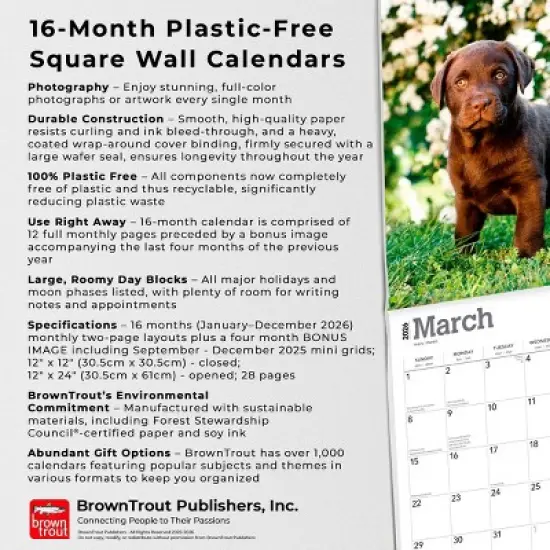BrownTrout Chocolate Labrador Retriever Puppies 2026 12"x24" Hanging Square Wall Calendar Plastic-Free image {5}