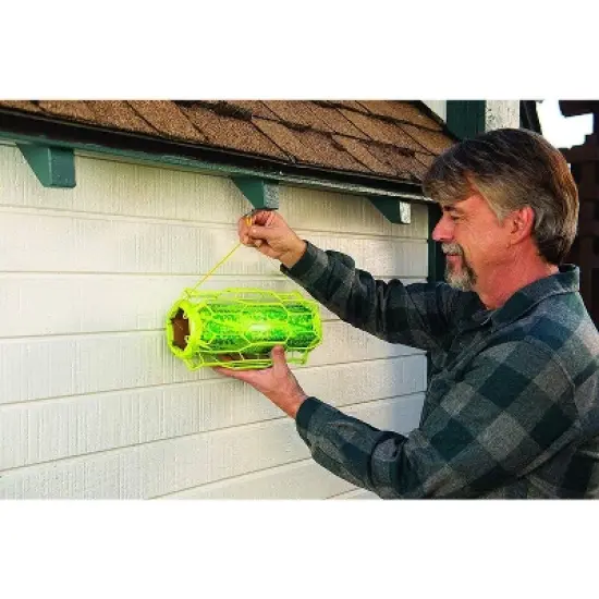 RESCUE Trapstik for Wasps, Mud Daubers, Carpenter Bees image {1}