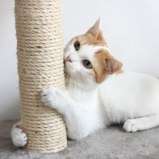 Pet Adobe Cat 4-Tier Kitty Condo and Scratching Post image {3}