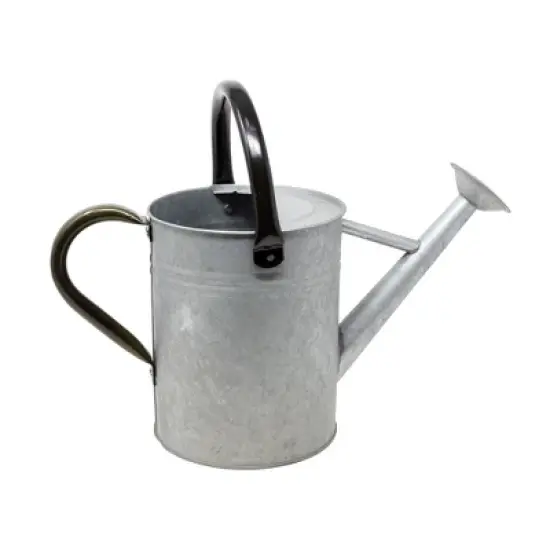 Panacea Metal Watering Can, Vintage Aged Galvanized, 1 Gallon image {1}