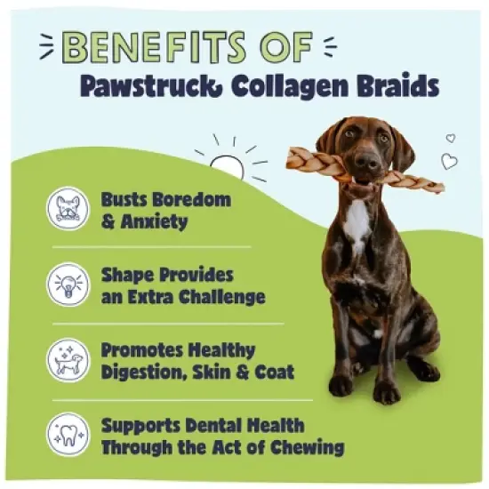 Pawstruck Natural Beef Collagen Braids for Dogs - Tough Long Lasting Alternative to Traditional Rawhide image {1}