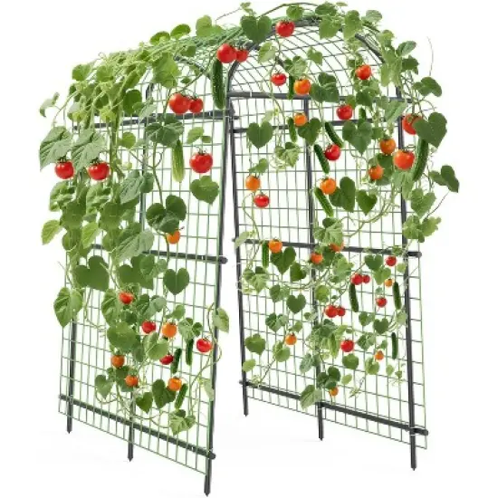 Garden Arch Trellis 7.5FT &ndash; Extra Tall Metal Pergola Arbor with Polyethylene-Coated Steel, Adjustable Width, for Climbing Plants & Outdoor D&eacute;cor image {8}