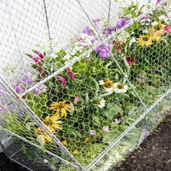 Gardener&rsquo;s Supply Company Chicken Wire Cloche Flat Back Crop Coop | Sturdy Metal Flower, Garden Plants, and Backyard Vegetables Cover Protector | 20"D image {3}