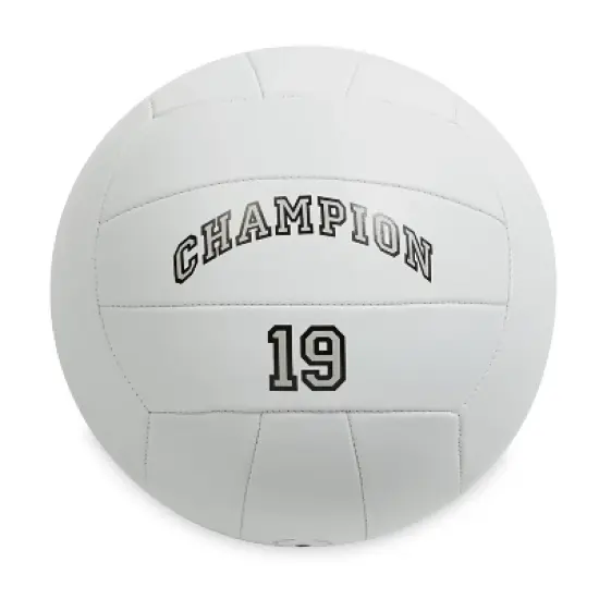 Champion Spike Volleyball Net image {2}