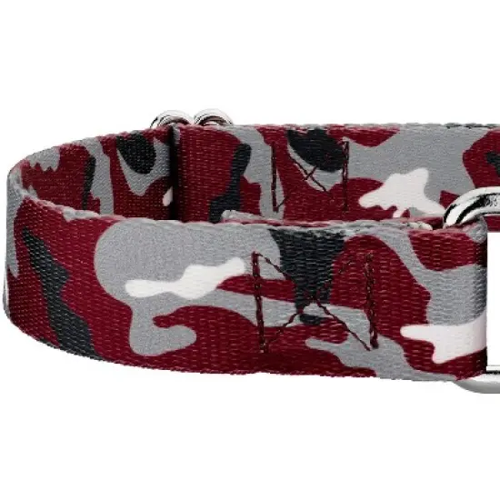 Country Brook Petz Martingale Dog Collar - Sports and Athletics Collection image {3}