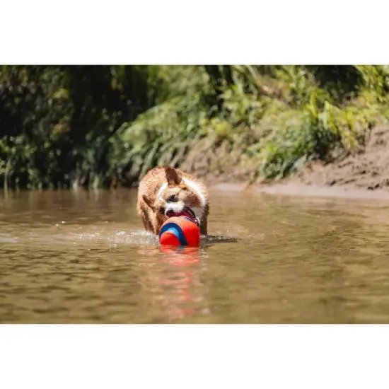 Chuckit! Kick Fetch Dog Ball Toy image {7}