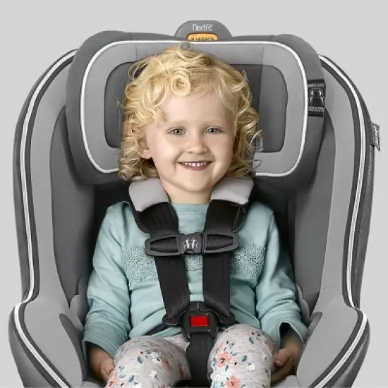 Chicco Convertible Car Seat - Carbon image {6}