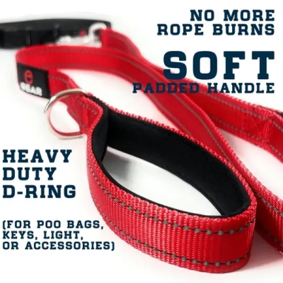 Locking Carabiner Nylon Dog Leash &ndash; 1 or 2 Handle &ndash; Enthusiast Gear image {10}