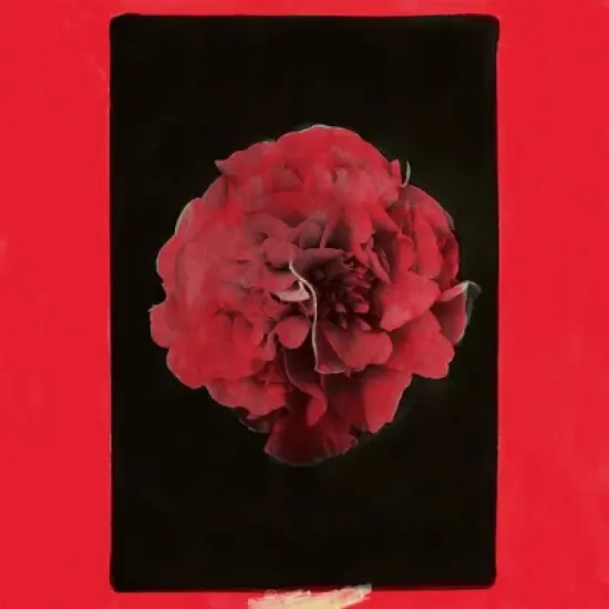 Activity - A Thousand Years in Another Way (Vinyl) image {1}