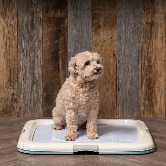 IRIS USA Square Pet Training Pad Holder image {4}