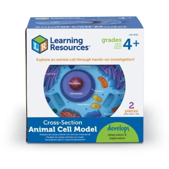 Learning Resources Cross-section Animal Cell Model image {3}