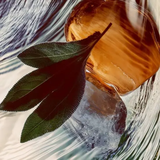 fine'ry. Men's Eau De Travel Size Cologne - Why Not? - 2 fl oz image {4}