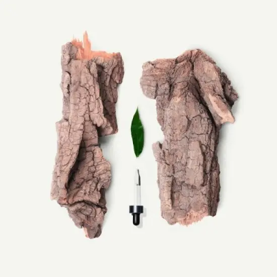 ApotheCARE Essentials PhytoDefend Protecting Serum - 1oz image {12}