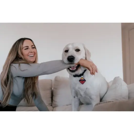 QALO TraQ Powered By Tile Dog and Cat Silicone Bluetooth Trackable Pet ID Tag - Red image {3}