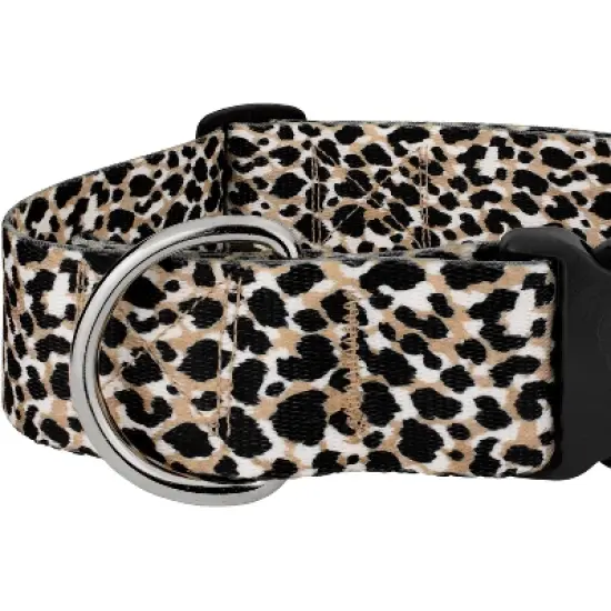 Country Brook Petz HossFit Jr Wide Deluxe Dog Collar - Animal Print Collection image {3}