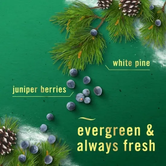 Febreze Small Spaces Air Freshener - White Pine & Juniper Berry - 0.5 fl oz/2ct image {3}