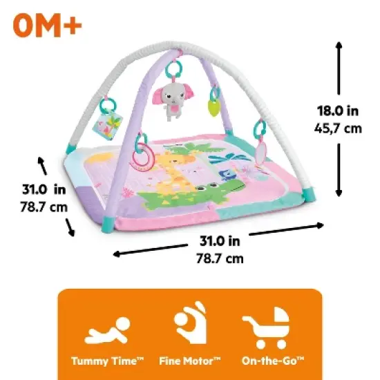 Bright Starts Wild Wiggles Sweet Safari FoldAway Activity Gym image {6}